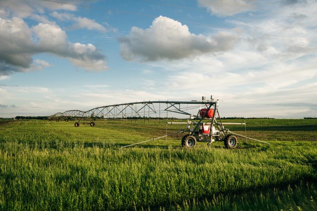 Watering in a large field using a self-propelled sprinkler system with a center swing.